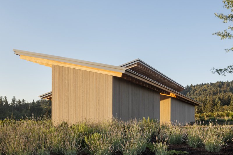 LEVER » News » Portland Monthly: LEVER's L'Angolo Estate Sets Standard ...