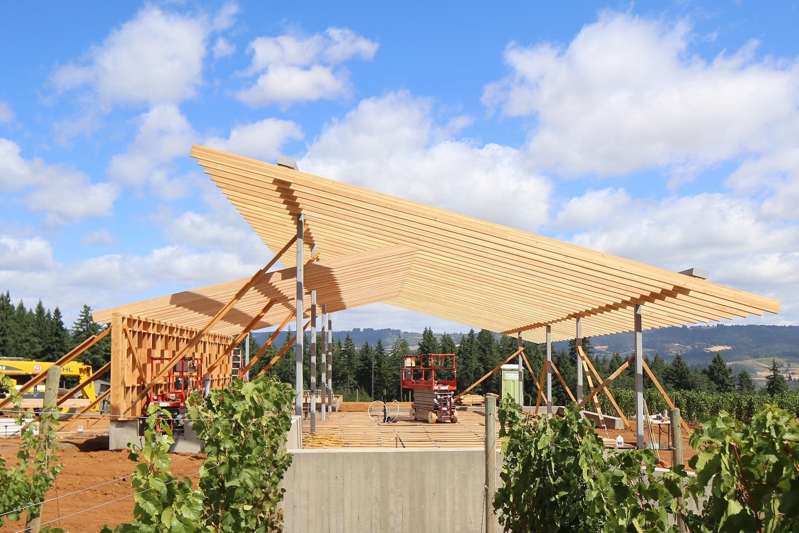 LEVER » Projects » L'Angolo Estate Winery